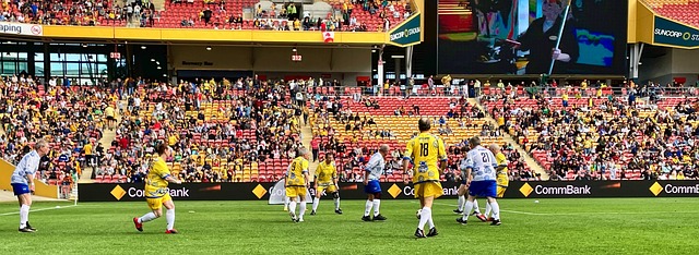 马球迷的心 马球迷的心