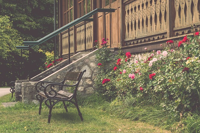 展现了强大 展现了强大