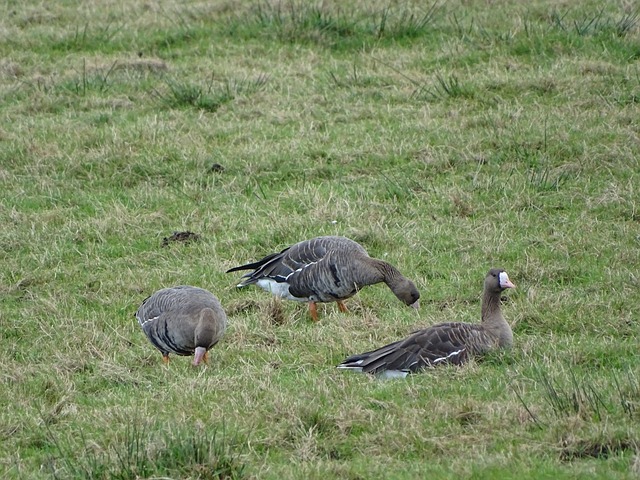 培养全面型 培养全面型