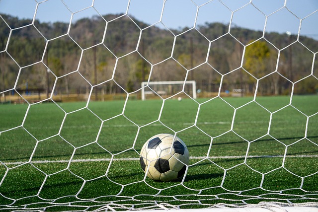 除了技术因 除了技术因