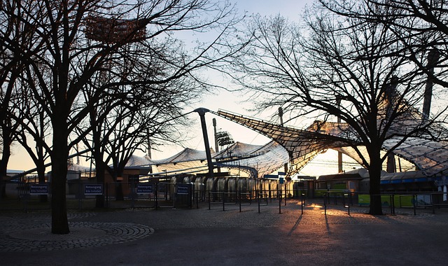 部带来新的 部带来新的