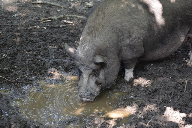 这一事件无 这一事件无